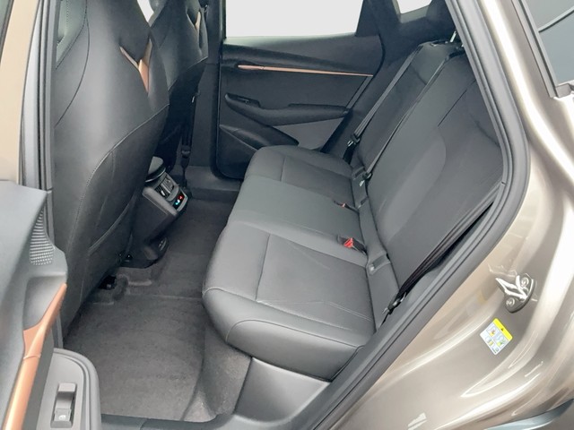 CUPRA - Tavascan Endurance ACC+LED+NAVI+SHZG+DAB+LM19"_3