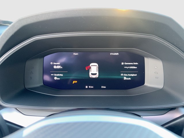 CUPRA - Formentor 2.0 TSI DSG 4Drive VZ DCC+AHK+Matrix_12