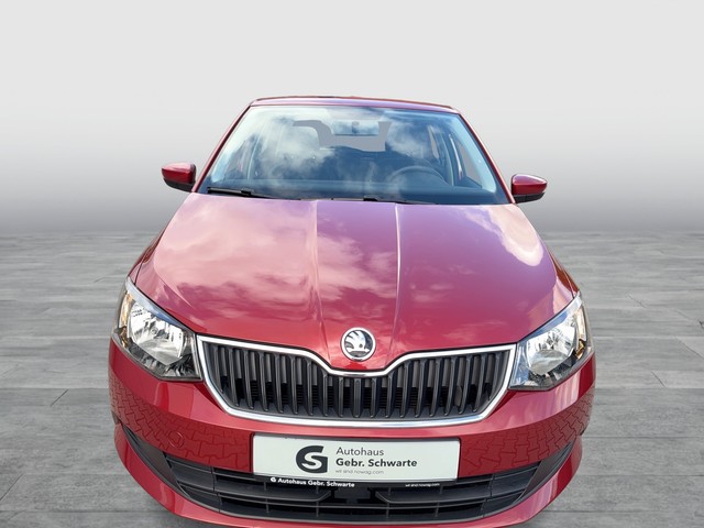 Skoda - Fabia 1.2 TSI Ambition GRA+SITZHZG+ALLWETTEREIF._10