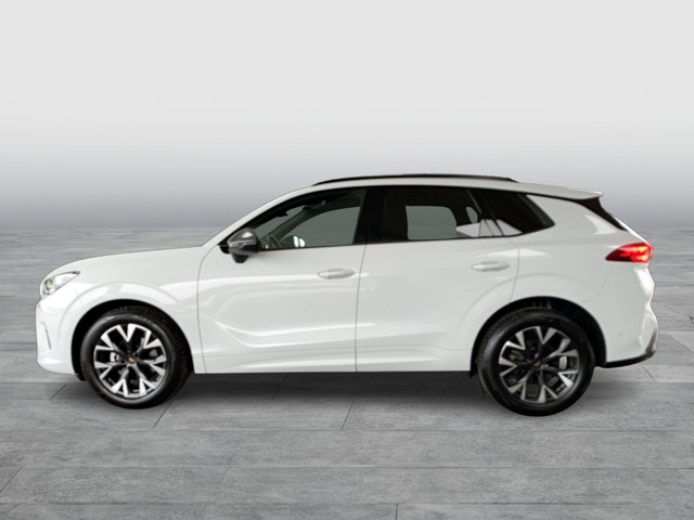CUPRA - Terramar 1.5 eTSI DSG DCC+HeadUp_7