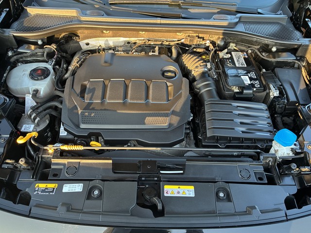 CUPRA - Formentor 2.0 TDI DSG AHK+ACC+PANO+LED+NAVI+SHZG_9