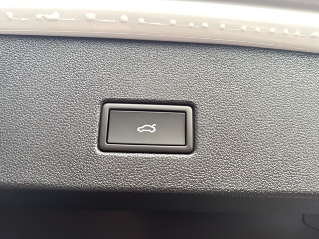 VW - T-Roc 2.0 TSI 4M R-Line Pano AHK RFK_5