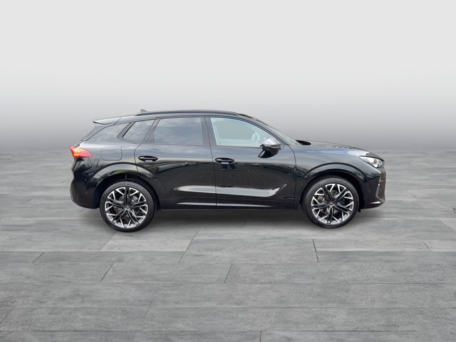 CUPRA - Terramar 2.0 TSI VZ 4D AHK Matrix Pano Sennh._11