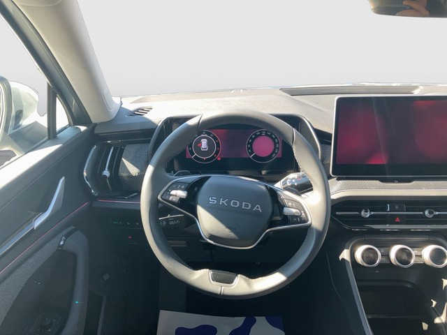 Skoda - Kodiaq 2.0 TDI 4x4 DSG Selection AHK LED NAVI_13