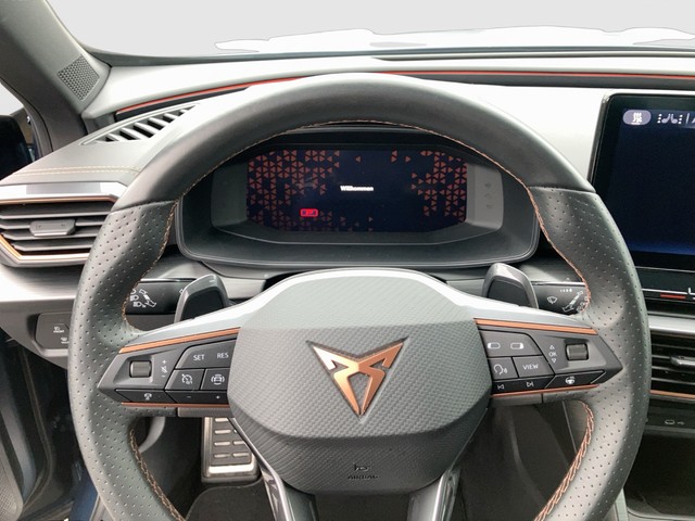 CUPRA - Terramar 2.0 TSI 4D VZ AHK HuD Pano Navi 20"_13