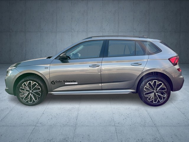 CUPRA - Formentor 2.0 TSI DSG 4Drive VZ AHK+DCC+LED+19"_8