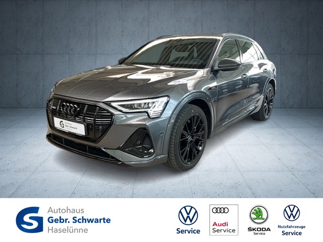 Audi e-tron 50 S line quattro AHK+ACC+LED+NAVI+SHZG