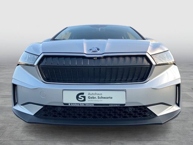 Skoda - Enyaq iV 60 Loft AHK CAM LED LM19 NAVI PANO SHZG_11