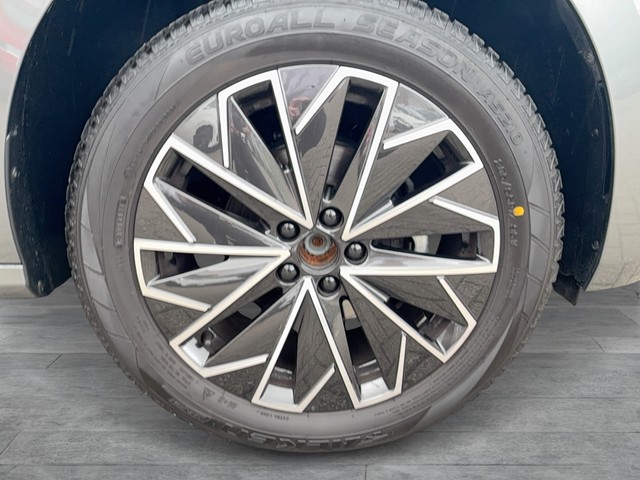 Skoda - Kamiq 1.0 TSI DSG Selection Virtual+Navi+Kamera_12